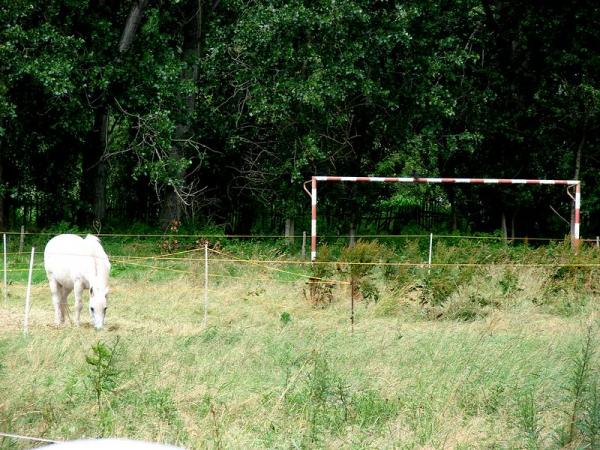 Sportplatz an der Querne - Querfurt-Lodersleben