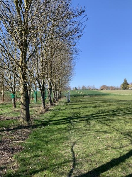 Sportplatz Semmenstedt - Remlingen-Semmenstedt