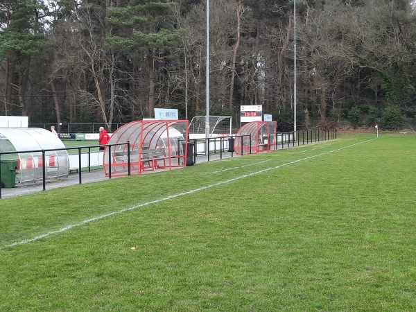 Sportpark Actief veld 2 - Tynaarlo-Eelde