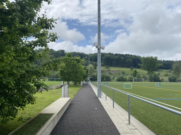 Sportanlage Moos Platz 2 - Wettswil am Albis