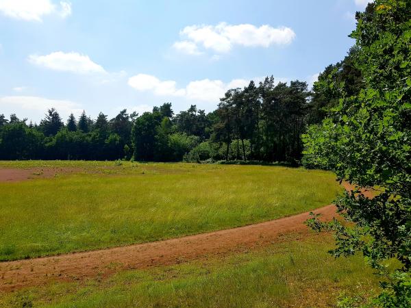 Sportplatz an der Panzerstraße - Lingen/Ems-Schepsdorf