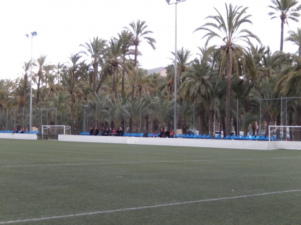 Campo El Palmeral - Orihuela (Oriola), VC