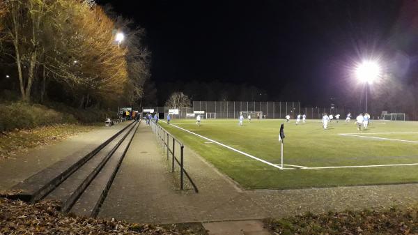 Limes-Stadion Nebenplatz 1 - Schwalbach/Taunus