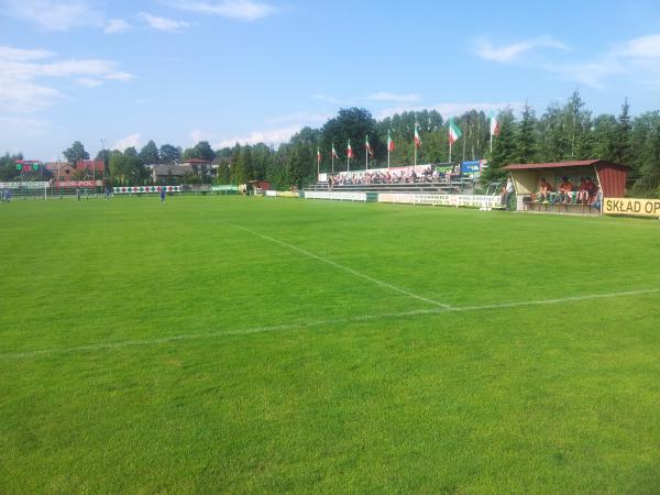 Stadion w Dankowice - Dankowice
