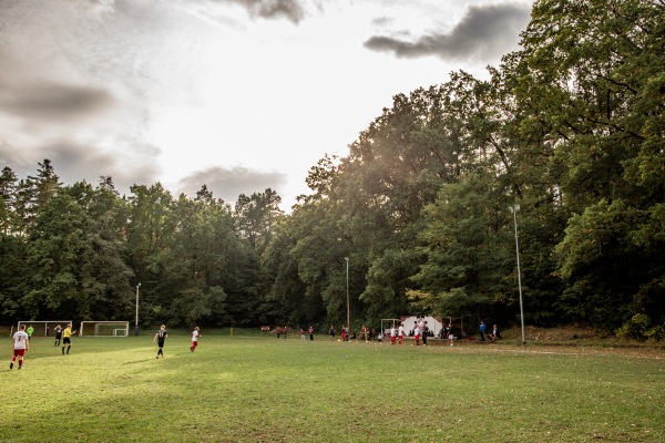 Sportanlage Walter-Hultsch-Heim - Pirna-Hinterjessen