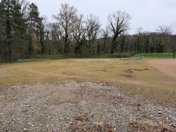 Rheinstadion Nebenplatz - Vogtsburg/Kaiserstuhl-Burkheim