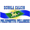 Wappen ASD Polisportiva Pellarese