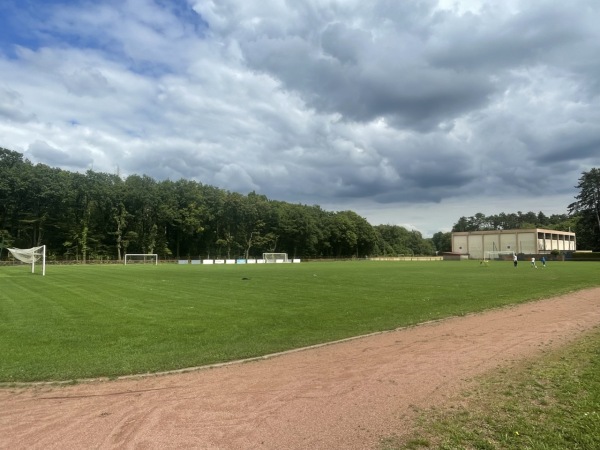 Stade Camille Holveck - Froidcul