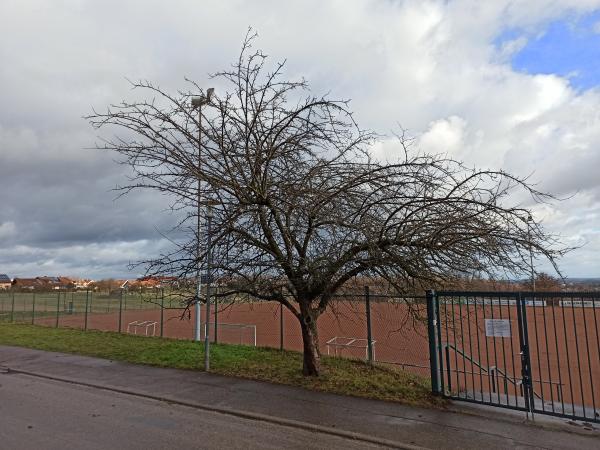 Sportgelände am Spechtwald Platz 3 - Ettlingen-Spessart