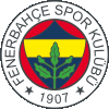 Wappen Fenerbahçe SK