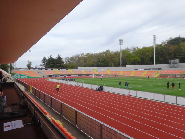 Estádio Municipal do Fontelo - Viseu