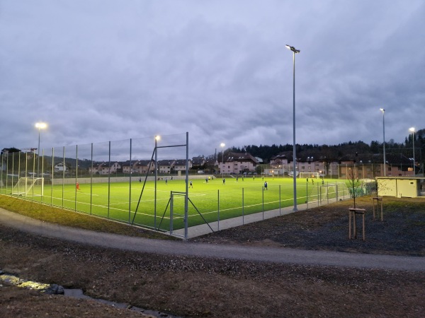 Sportplatz Neuhaus - Wald ZH