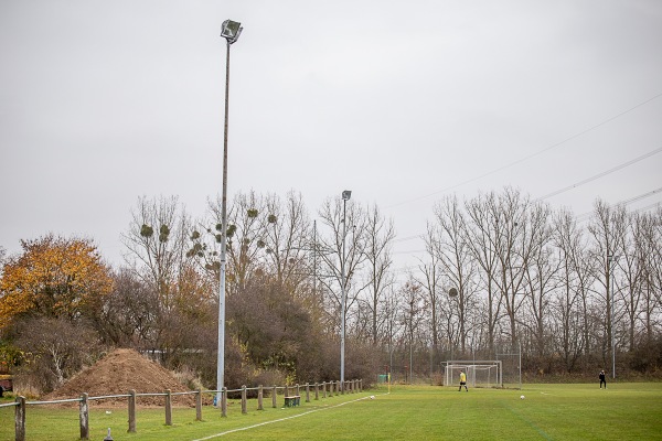 Sportanlage Flurstraße Platz 2 - Hallstadt-Dörfleins