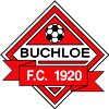 Wappen FC Buchloe 1920 diverse  81035