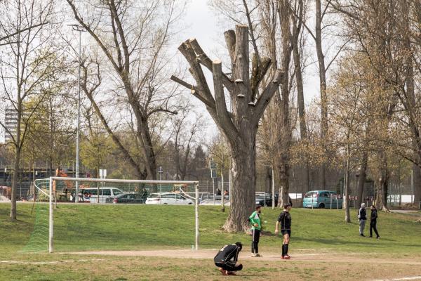 Bezirkssportanlage Kapellenstraße Platz 3 - Fürth/Mittelfranken