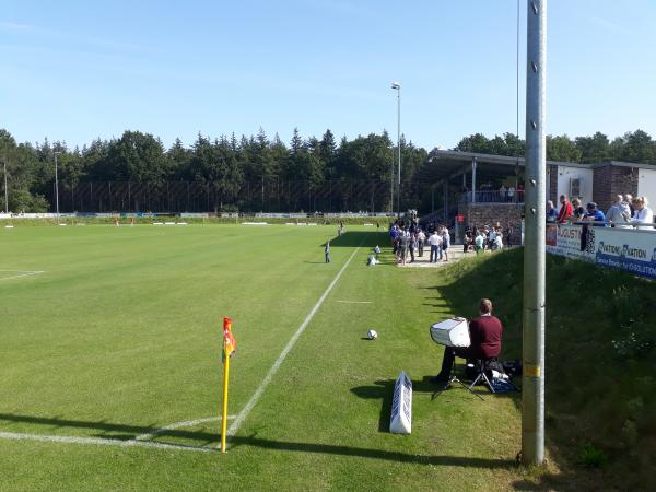 Waldstadion 2.0 im Esterfelder Sportpark - Meppen-Esterfeld