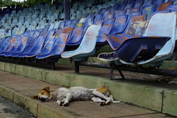 Sugathadasa Stadium - Colombo