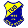 Wappen TuS 1899 Dielingen  17183