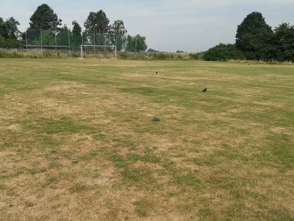 Sportplatz Hartmutstraße - Viersen-Dülken