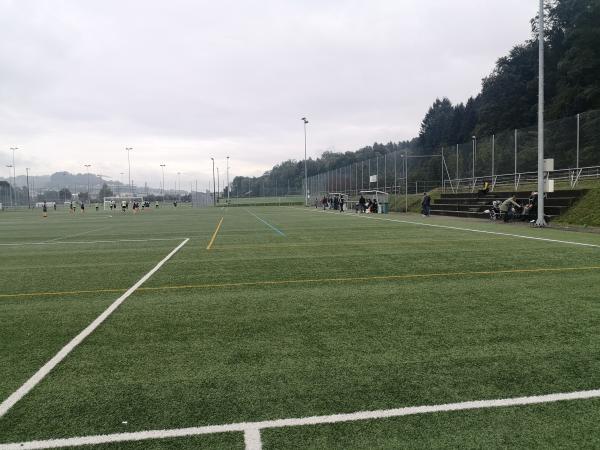 Sportanlage Buechenwald Platz 3 (alt) - Gossau SG