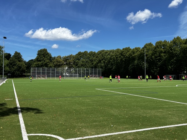 Sportplatz Rotenhäuser Damm - Hamburg-Wilhelmsburg