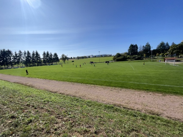 Sportplatz Mühlbacher Straße - Hüffenhardt