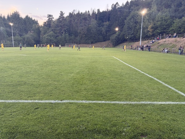 Sportplatz auf der Schmittwiese - Hoppstädten-Weiersbach