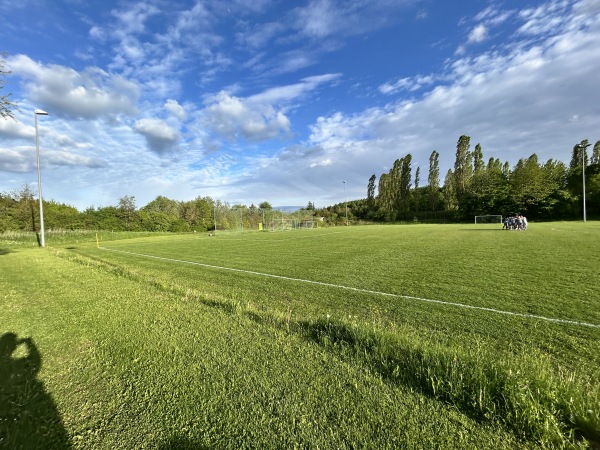 Phönix-Sportgelände Platz 2 - Pfalzgrafenweiler