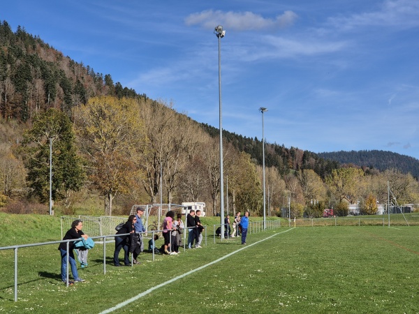 Terrain de la Léchère - Couvet