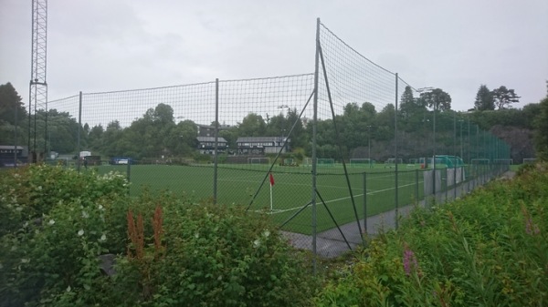 Liland kunstgress - Blomsterdalen
