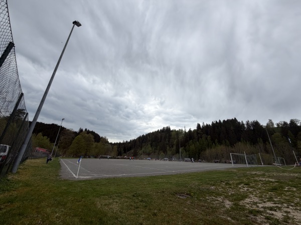 Sportplatz am Alten Bahnhof - Clausthal-Zellerfeld-Wildemann