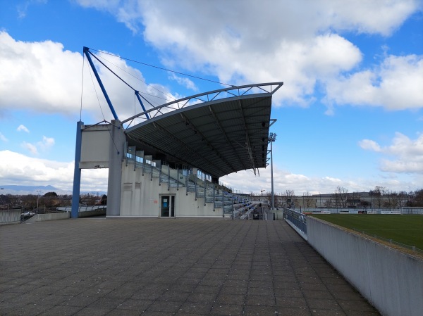 Colmar Stadium - Colmar