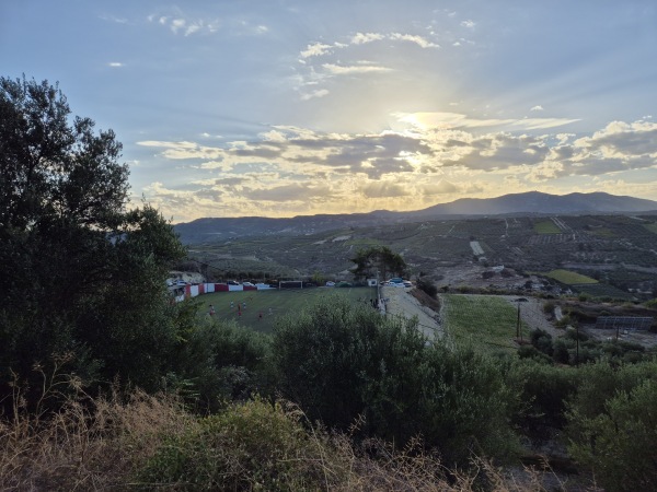 Gipedo Mirtia - Mirtia