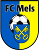 Wappen FC Mels II  45433