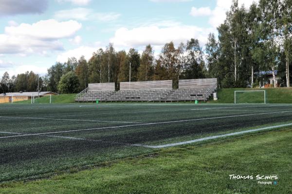 Susivouti 2 tekonurmi - Rovaniemi