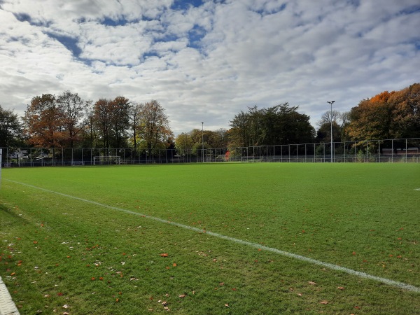 Sportpark De Langeleegte veld 3 - Veendam