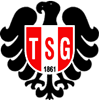 Wappen TSG 1861 Kaiserslautern diverse  49747