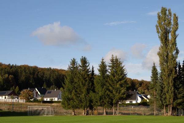 Greifensteinstadion Nebenplatz - Ehrenfriedersdorf