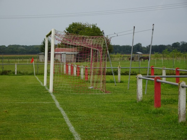 Stade Henri Desmarres - Roppenheim