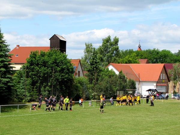 Sportanlage an der Freiheit - Kaiserpfalz-Memleben