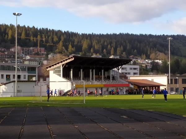 Allianz Suisse Stadium - Tramelan