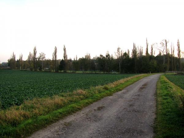 Sportplatz Am Brühl - Lützen-Göthewitz