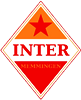 Wappen FC Internationale Memmingen 2018
