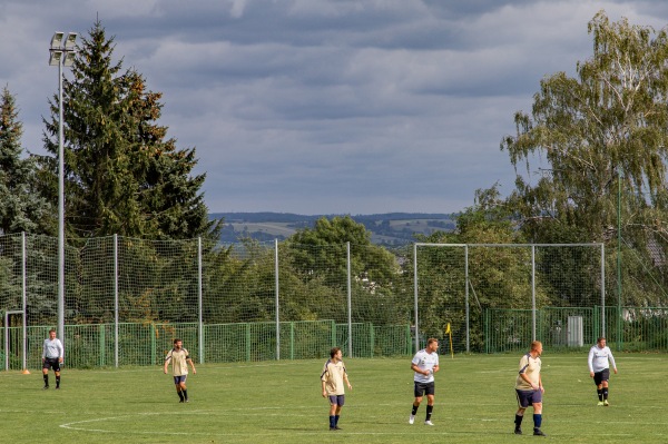 Sportplatz Am Wasserturm - Zwickau-Oberplanitz