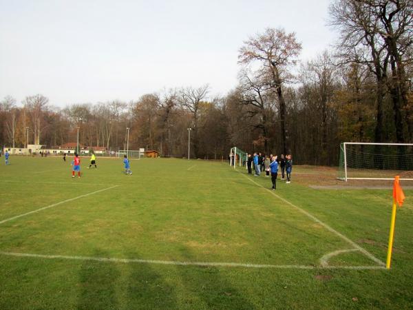 Sportanlage Nonnenwiese Platz 2 - Leipzig-Schleußig