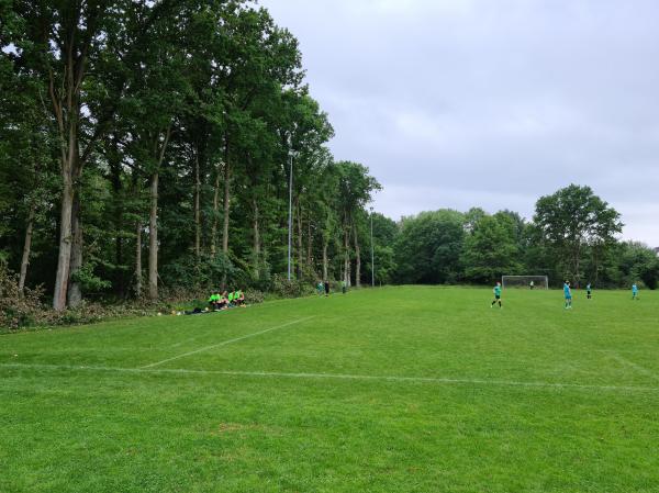 Waldsportanlage Platz 2 - Forchheim/Oberfranken-Kersbach