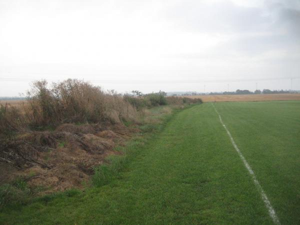Wellner Sportplatz - Hohe Börde-Wellen