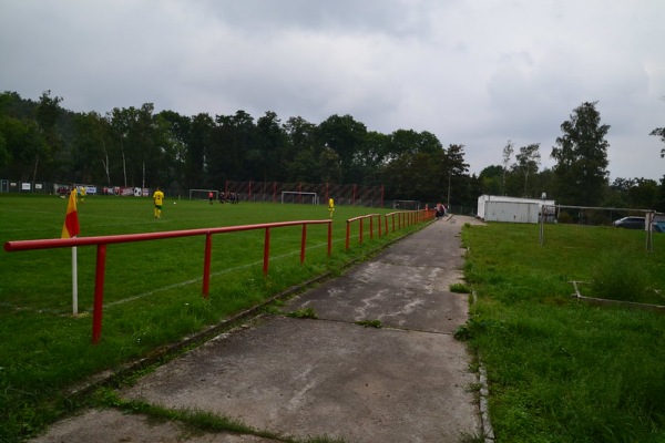 Sportplatz Muldenpromenade - Zwickau