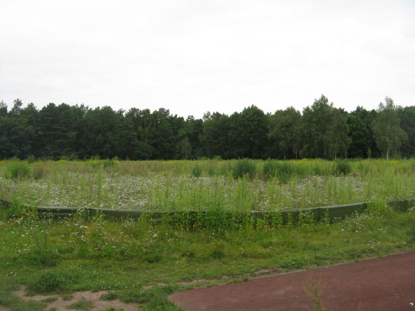 Sportplatz Birkenwäldchen - Berlin-Adlershof