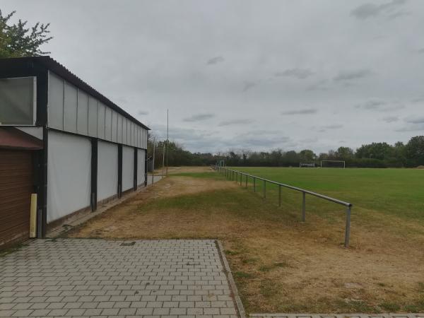 Sportplatz am Eckbach - Großniedesheim